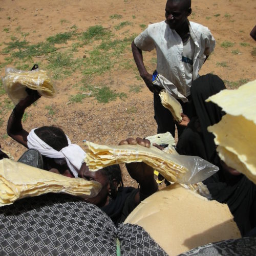La lucha contra la desertificación refuerza los lazos comunitarios e impulsa la economía local en Níger