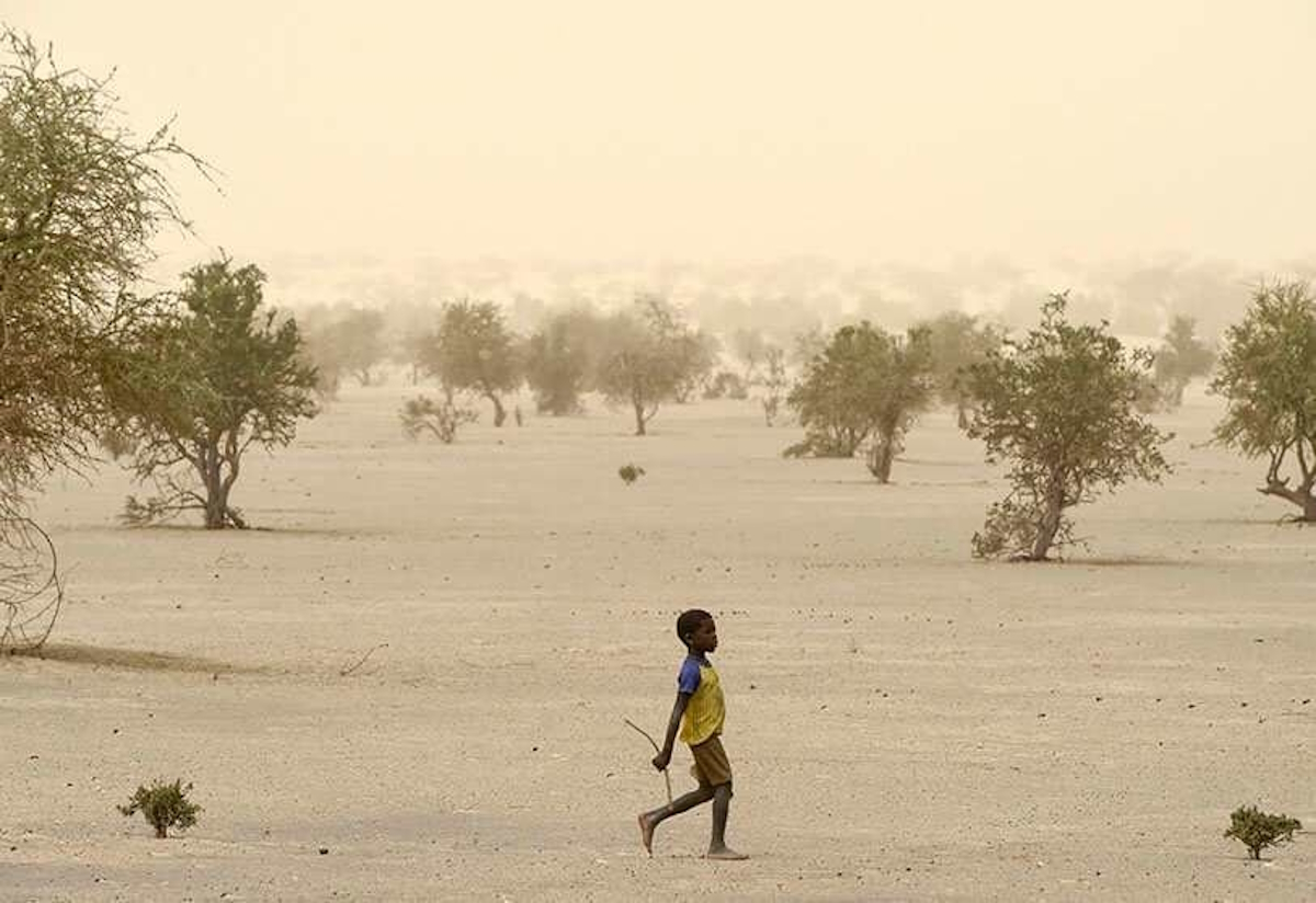 ¿Hacia una guerra climática en el Sahel?