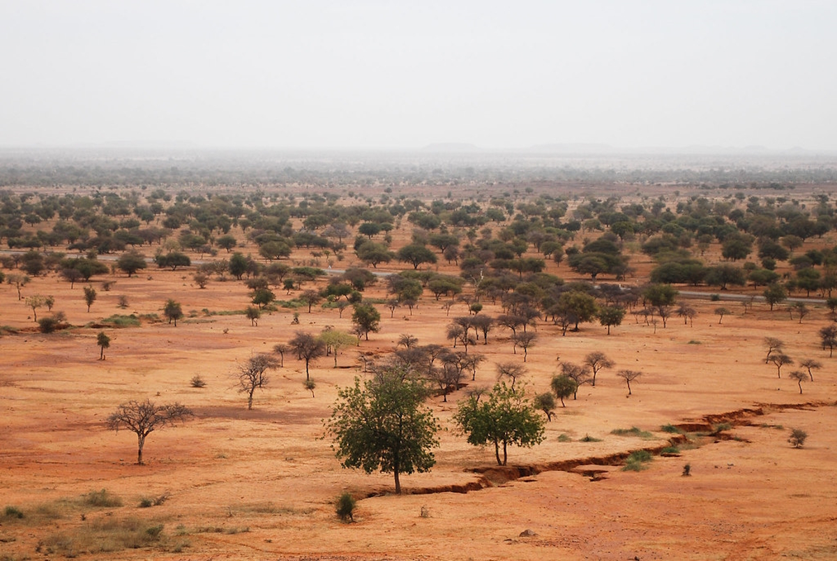 ¿De dónde procede el término «Sahel»?