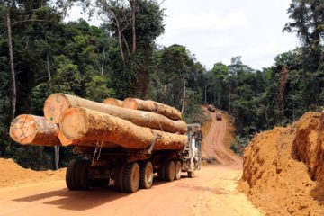 La tala forestal alimenta la expansión del GSIM en Malí