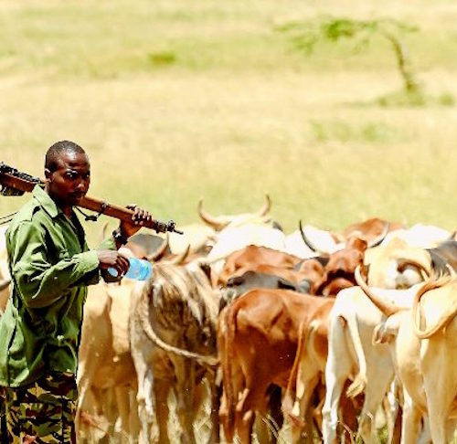 La creciente complejidad de los conflictos entre agricultores y ganaderos en África Occidental y Central