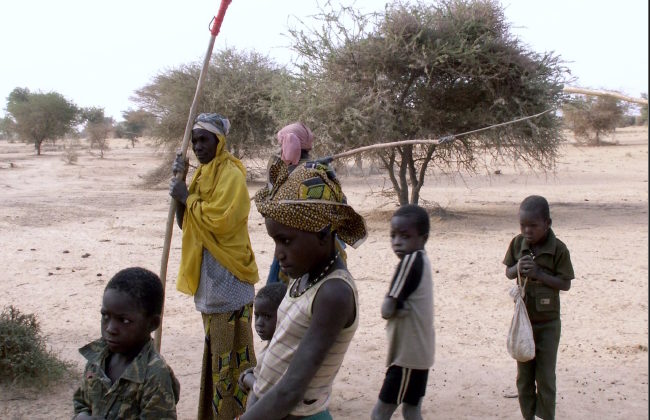 Refugiados de Azawad. Contexto y realidades de una situación de crisis humanitaria en el Sahel