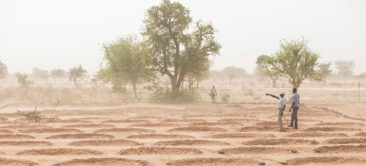 Devolviendo la vida a las tierras áridas del Sahel