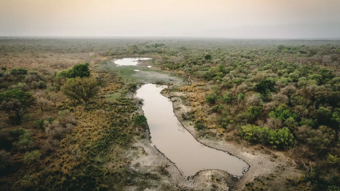 Sahel. La herencia colonial del agua y los bosques, un arma en manos de los yihadistas