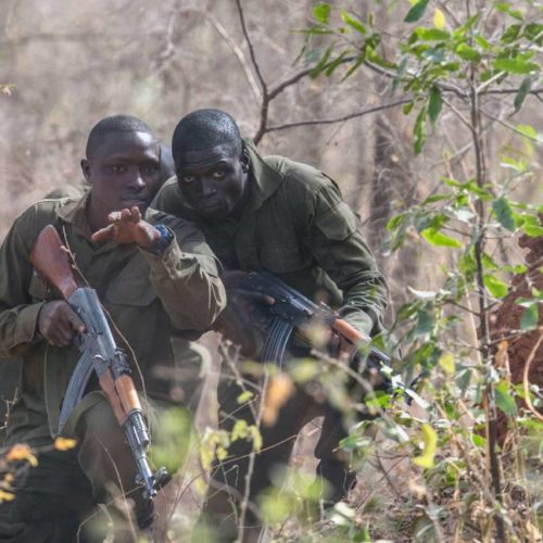 Recalibrando la respuesta del África Occidental costera al extremismo violento