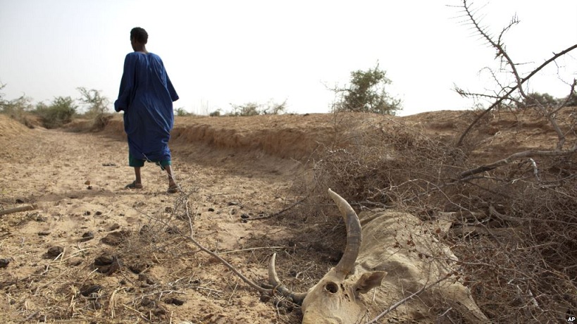 La CEDEAO, preocupada por la inseguridad alimentaria que podría afectar a 17 millones de personas en la región del Sahel