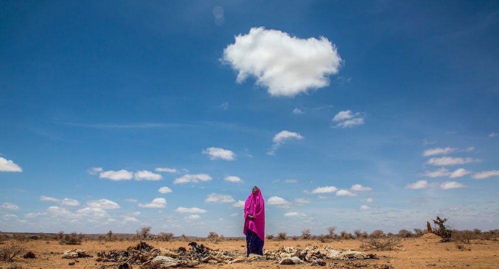 Cambio climático: el Sahel y el Cuerno de África en el ojo de los efectos devastadores a medio plazo