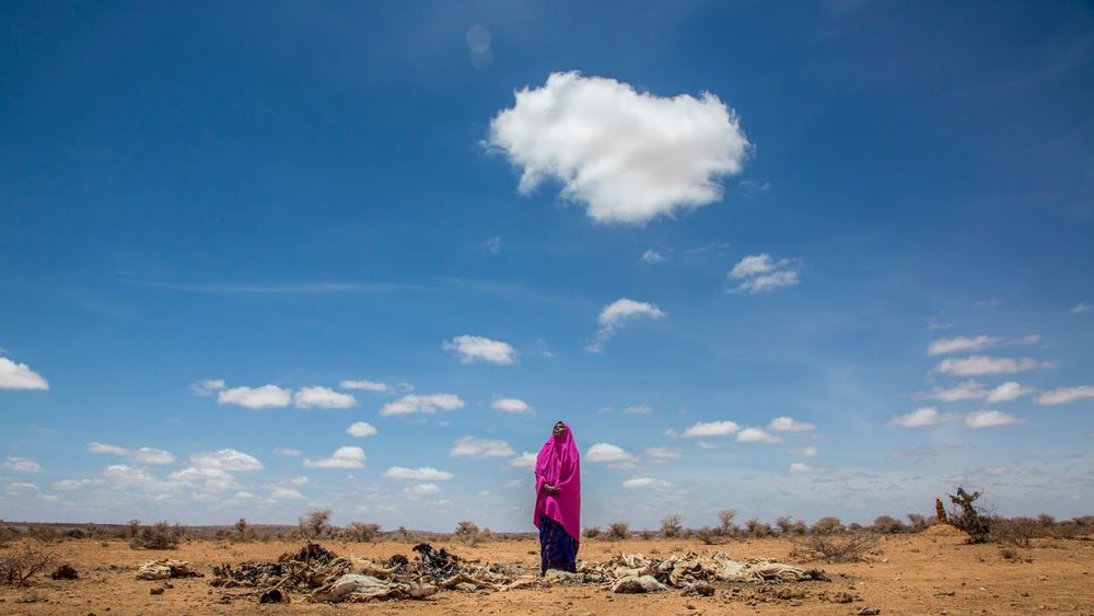 Cambio climático: el Sahel y el Cuerno de África en el ojo de los efectos devastadores a medio plazo