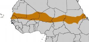 Creación de una institución de coordinación del «G5 del Sahel»