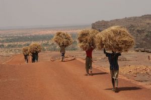 Sahel: crear comunidades capaces de resistir las crisis