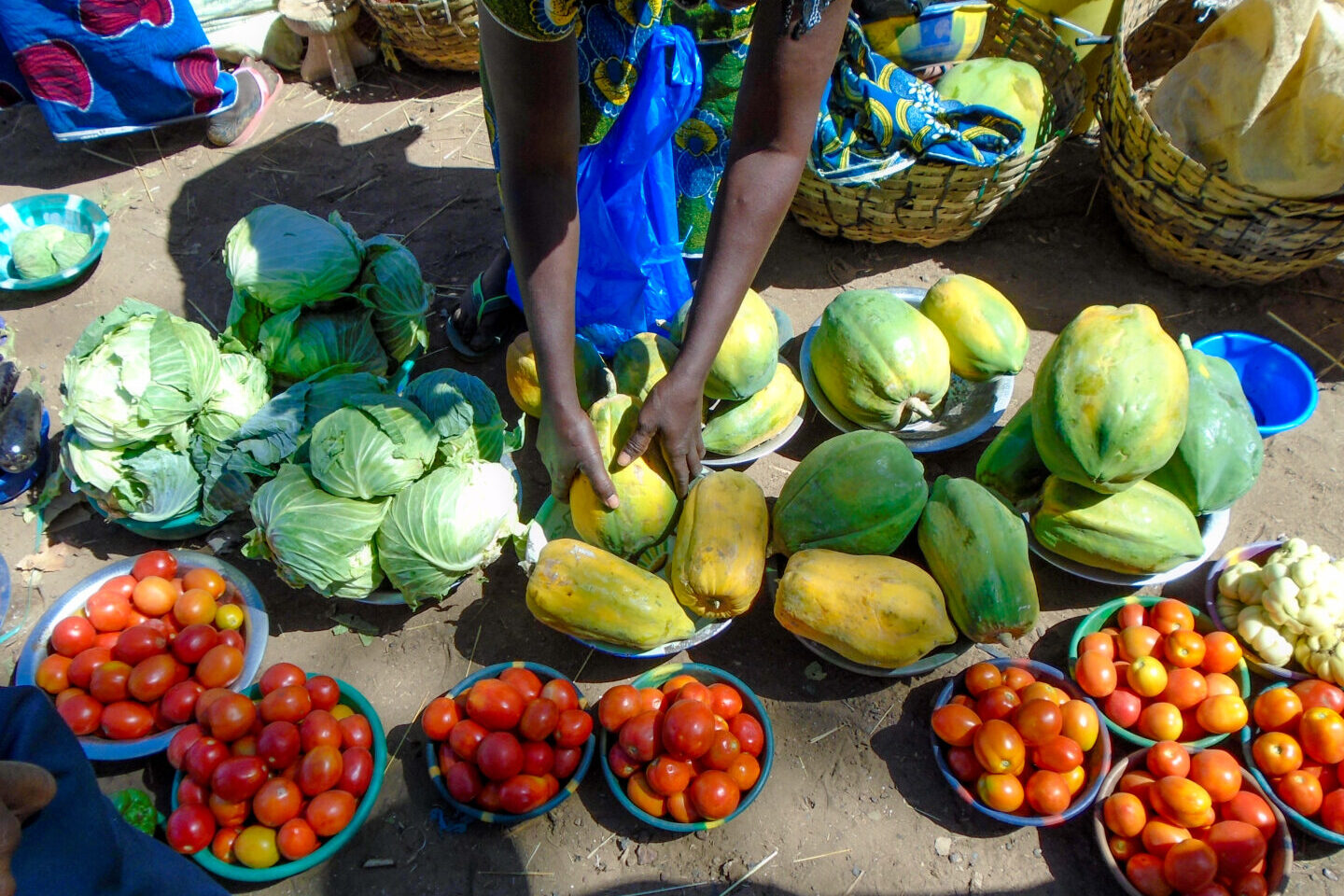 Aprovechar la experiencia local: Un plan para la seguridad alimentaria en Malí y más allá