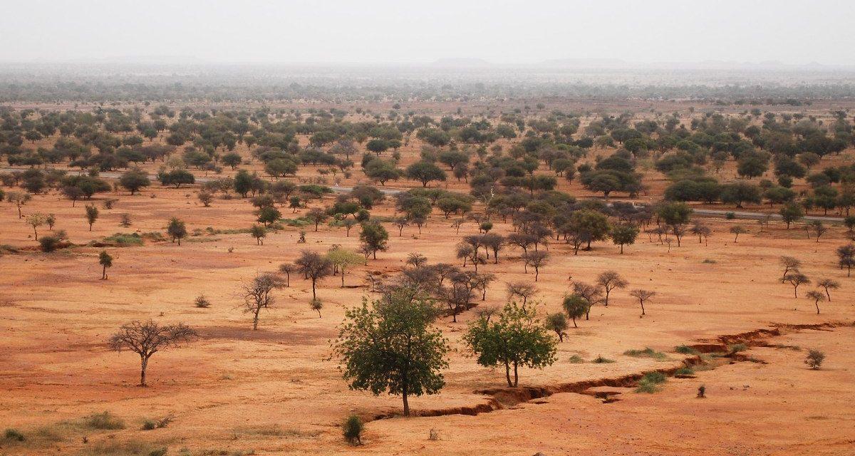 La creciente sombra del Grupo Wagner en el Sahel: ¿Qué significa para la lucha antiterrorista en la región?