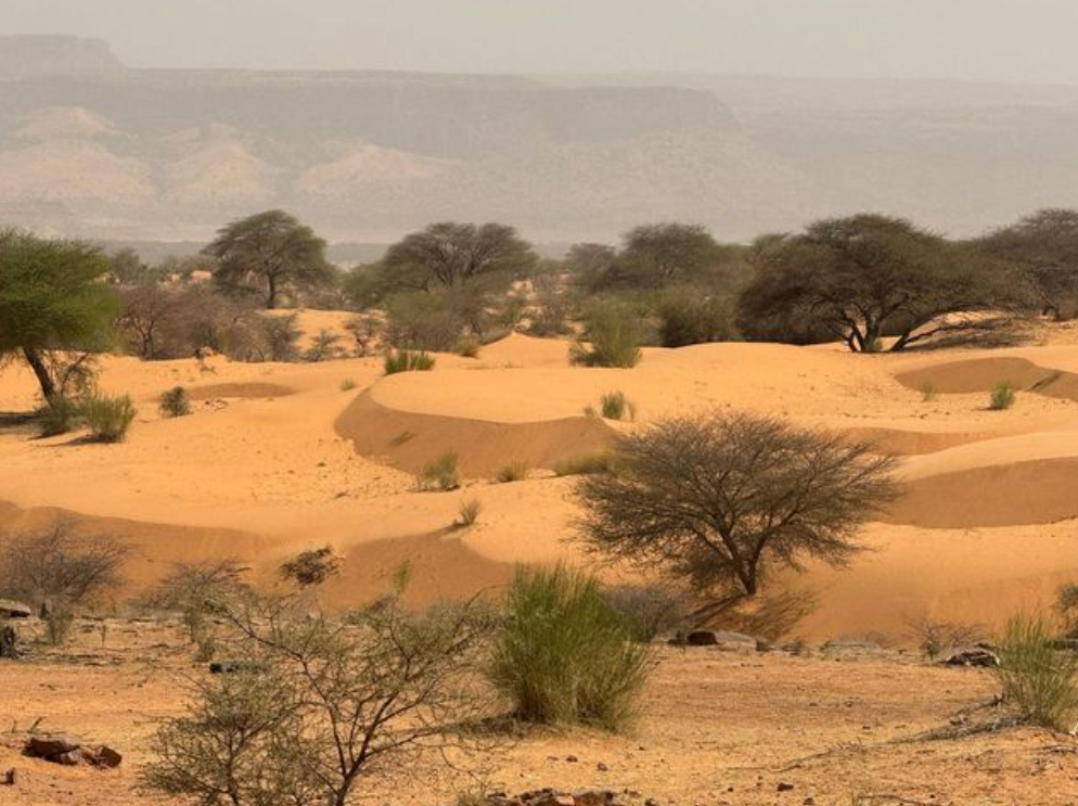 Resumen de los principales acontecimientos acaecidos en el Sahel: 16 -22 Agosto