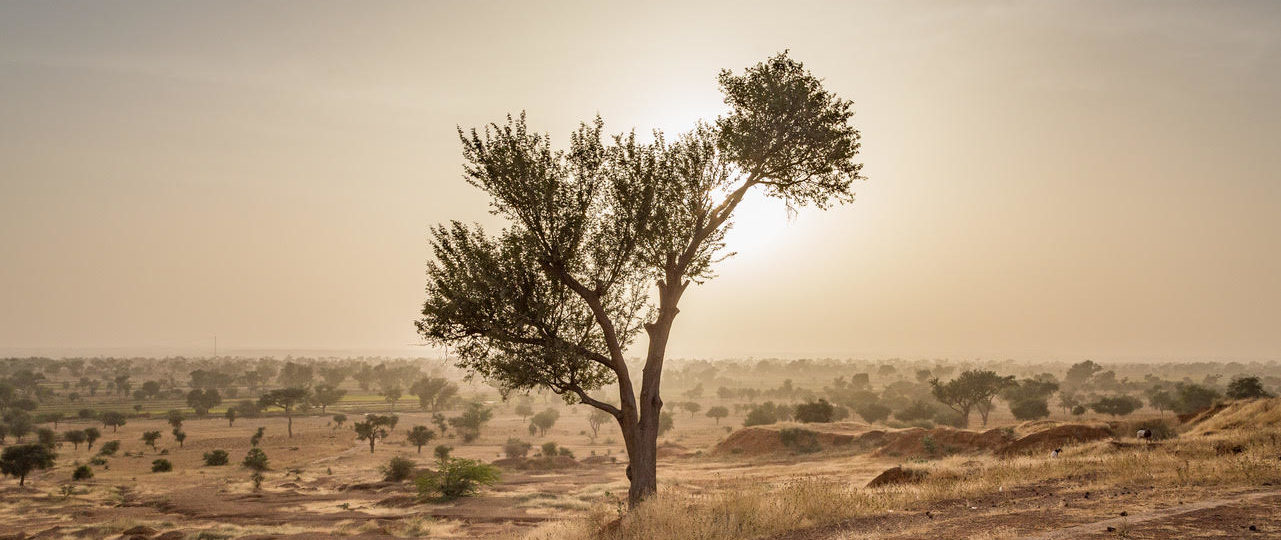 Consolidación de la paz medioambiental y compromiso cívico-militar en el Sahel: Convertir un multiplicador de amenazas en un multiplicador de fuerzas