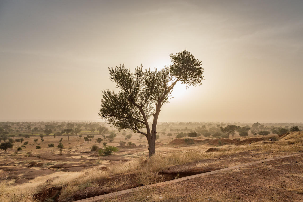 Consolidación de la paz medioambiental y compromiso cívico-militar en el Sahel: Convertir un multiplicador de amenazas en un multiplicador de fuerzas