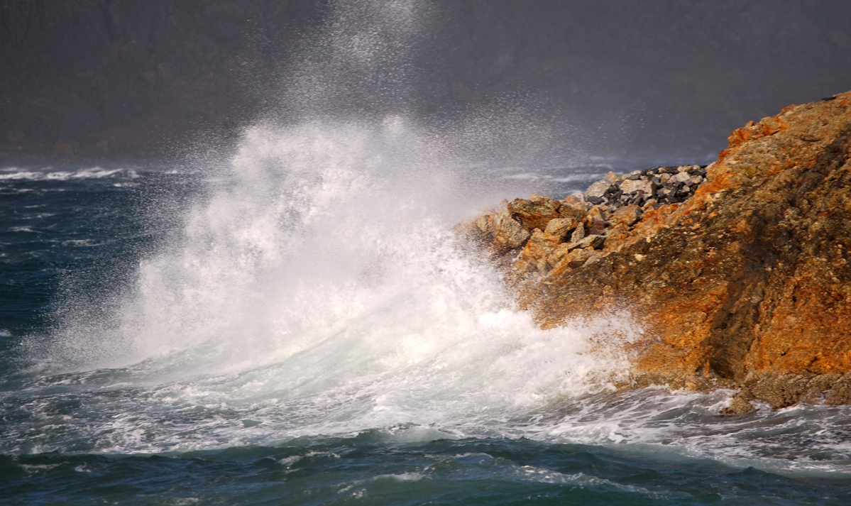Energía undimotriz y ondas acústicas submarinas: un camino emergente hacia la sostenibilidad energética y la resiliencia costera