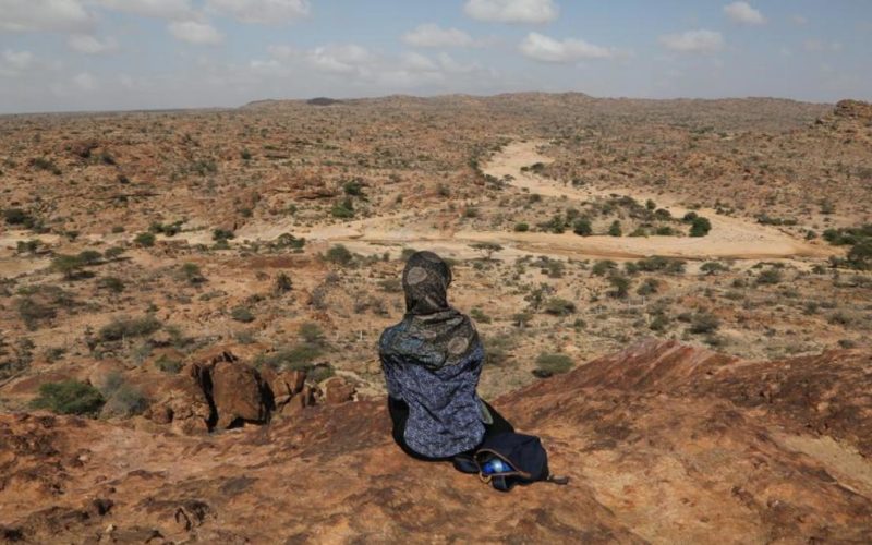 Somalilandia y la reconfiguración geopolítica en Oriente Medio y el Cuerno de África: Un cuasi-Estado en ascenso