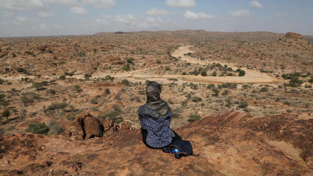Somalilandia y la reconfiguración geopolítica en Oriente Medio y el Cuerno de África: Un cuasi-Estado en ascenso