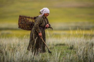Inteligencia Artificial y Futuro de Mongolia: Claves para un Desarrollo Humano Soberano en la Nueva Era Geotecnológica