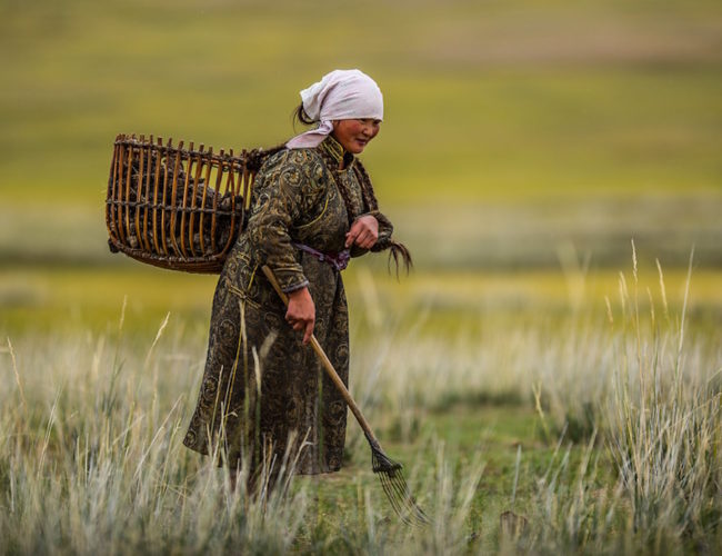 Inteligencia Artificial y Futuro de Mongolia: Claves para un Desarrollo Humano Soberano en la Nueva Era Geotecnológica