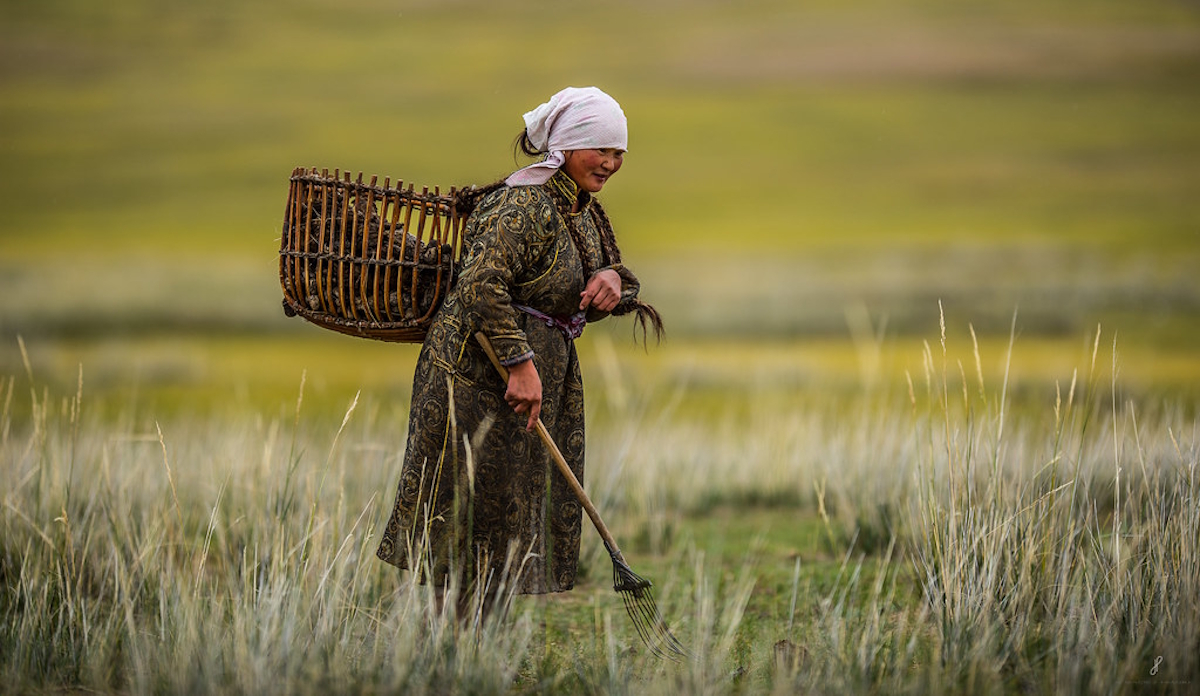 Inteligencia Artificial y Futuro de Mongolia: Claves para un Desarrollo Humano Soberano en la Nueva Era Geotecnológica