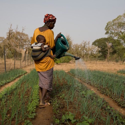El precio global del abandono: cómo la falta de financiación al desarrollo en África amenaza la estabilidad mundial