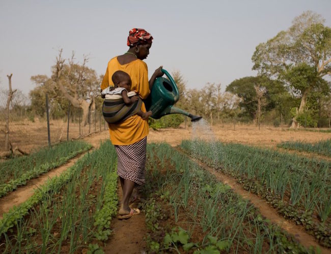 El precio global del abandono: cómo la falta de financiación al desarrollo en África amenaza la estabilidad mundial