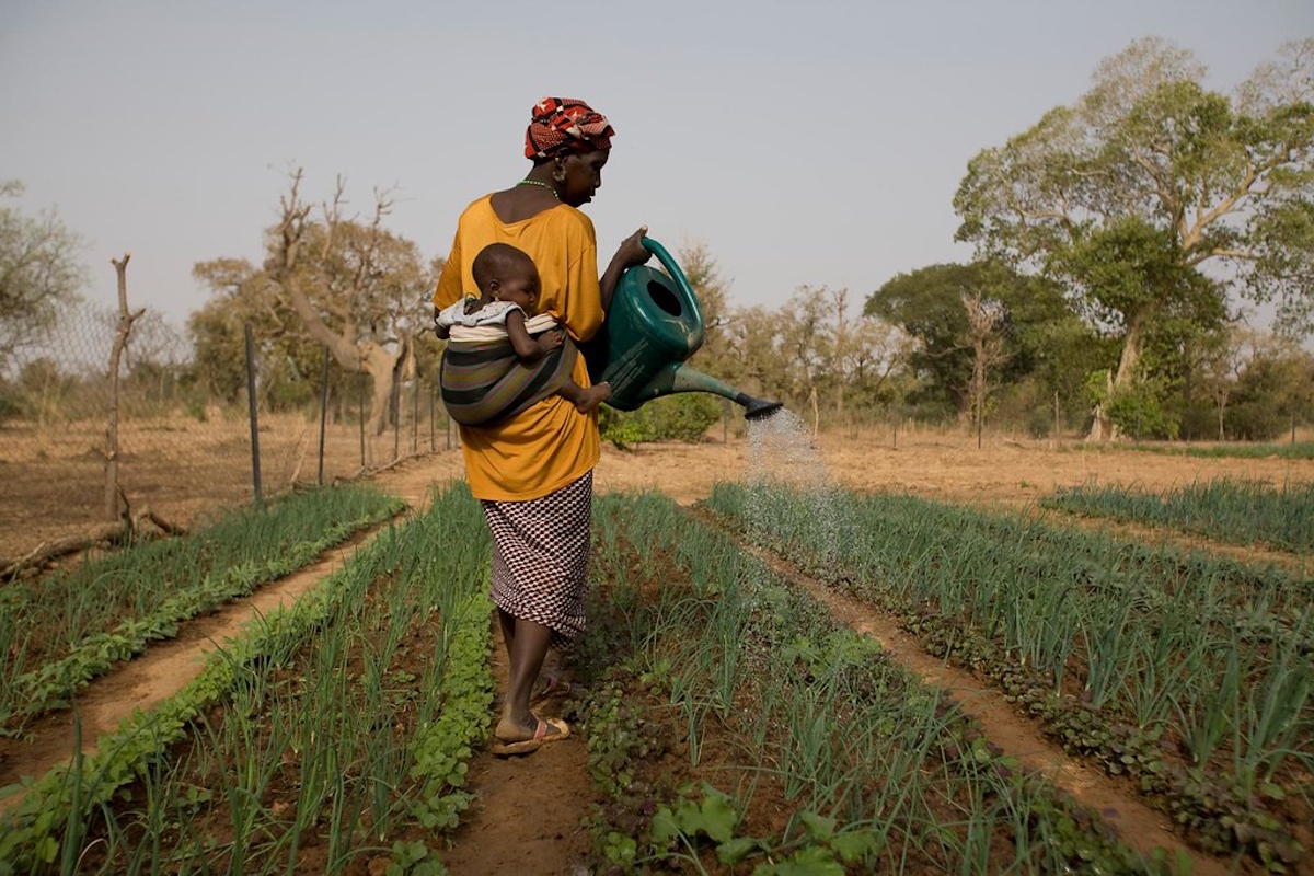 El precio global del abandono: cómo la falta de financiación al desarrollo en África amenaza la estabilidad mundial