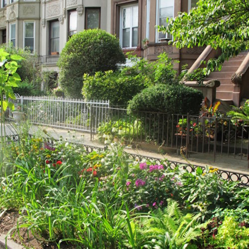 Ciudades que Respiran: Integrando la Biodiversidad en el Corazón del Urbanismo Europeo