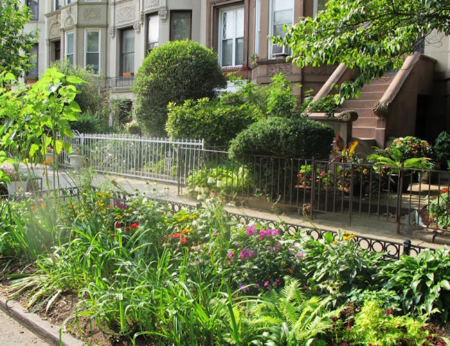 Ciudades que Respiran: Integrando la Biodiversidad en el Corazón del Urbanismo Europeo