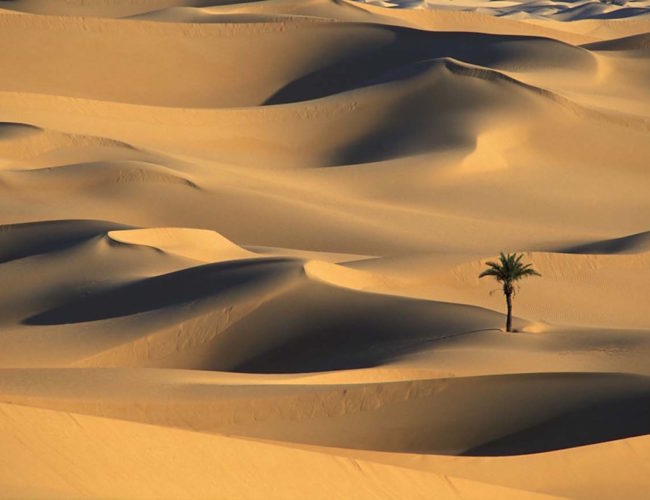 Argelia y el Sahel: De frontera estratégica a núcleo de estabilidad regional