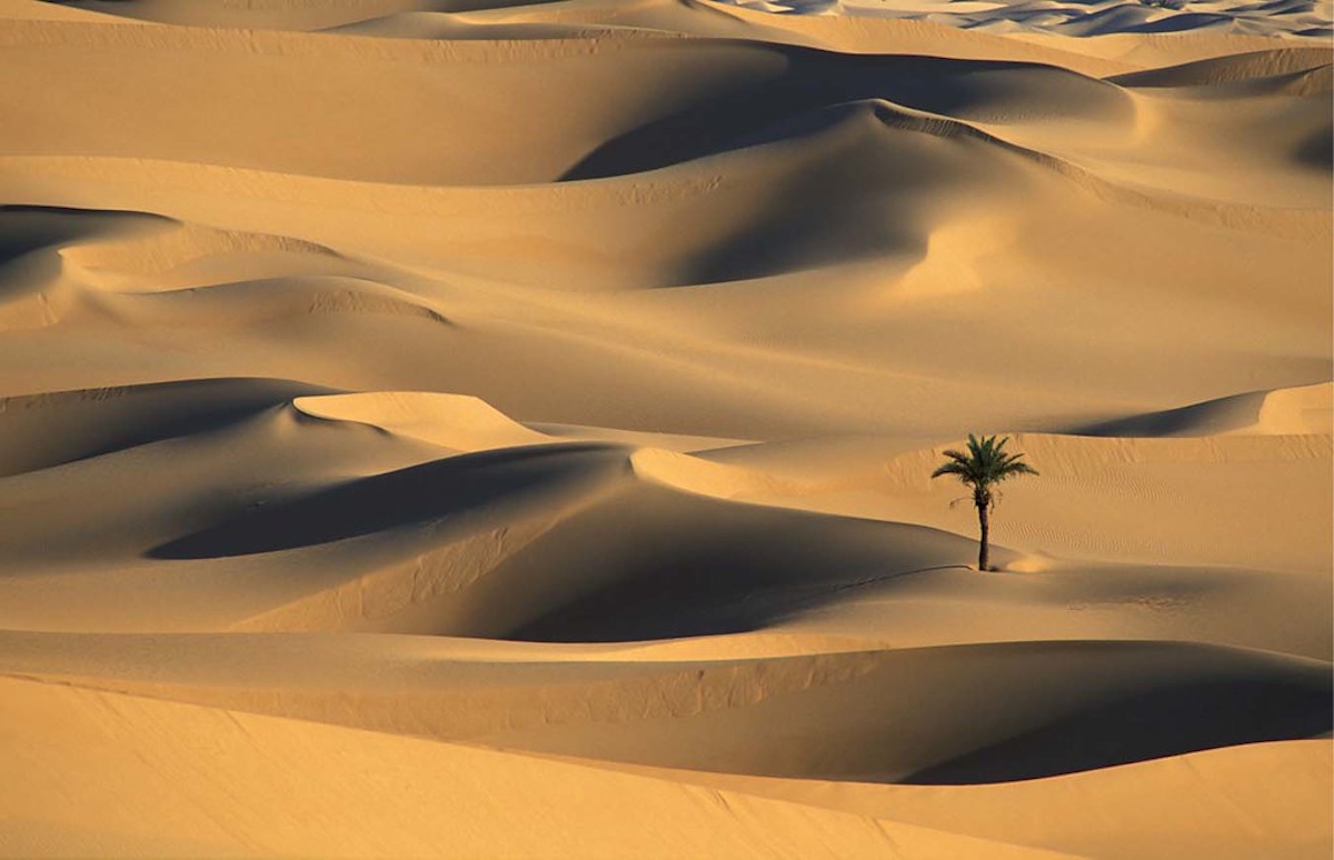 Argelia y el Sahel: De frontera estratégica a núcleo de estabilidad regional