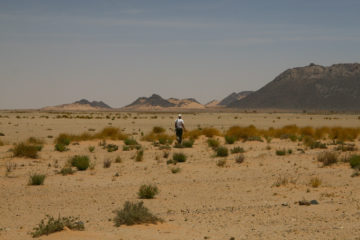 El reacomodamiento geopolítico de África: el respaldo de Kenia a Marruecos y el declive del legado argelino de la Guerra Fría