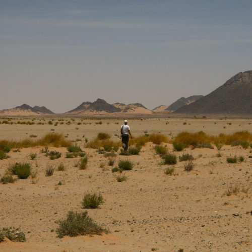 El reacomodamiento geopolítico de África: el respaldo de Kenia a Marruecos y el declive del legado argelino de la Guerra Fría