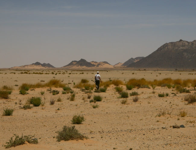 El reacomodamiento geopolítico de África: el respaldo de Kenia a Marruecos y el declive del legado argelino de la Guerra Fría