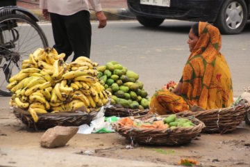 De la pobreza a la precariedad: una mirada estructural y prospectiva sobre el crecimiento desigual de la India