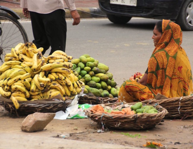 De la pobreza a la precariedad: una mirada estructural y prospectiva sobre el crecimiento desigual de la India