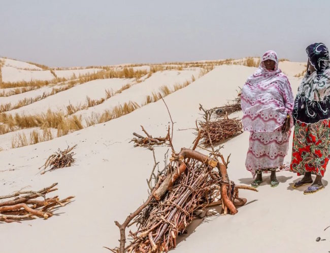 La erosión del orden democrático en el Sahel central: génesis de un autoritarismo duradero
