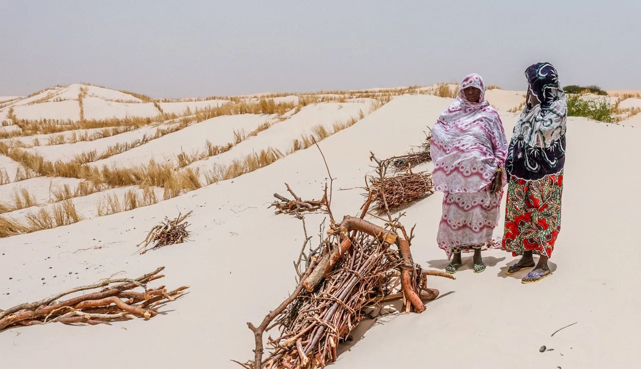 La erosión del orden democrático en el Sahel central: génesis de un autoritarismo duradero