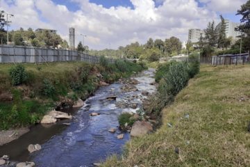 Addis Abeba renace desde sus ríos: modelo africano de renovación urbana y resiliencia ecológica