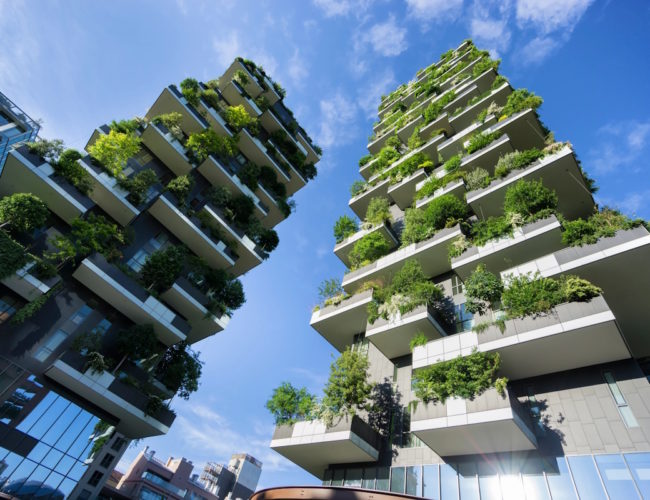 Vertical y Verde: El Desafío de Construir Ciudades Altas sin Perder Naturaleza
