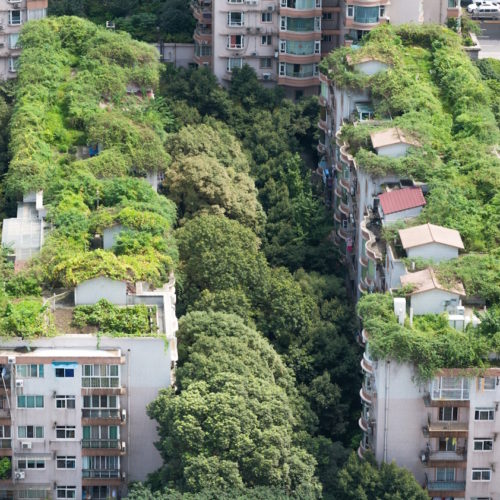 Cuando las Naciones Fallan, las Ciudades Lideran: El Nuevo Frente Urbano contra el Cambio Climático