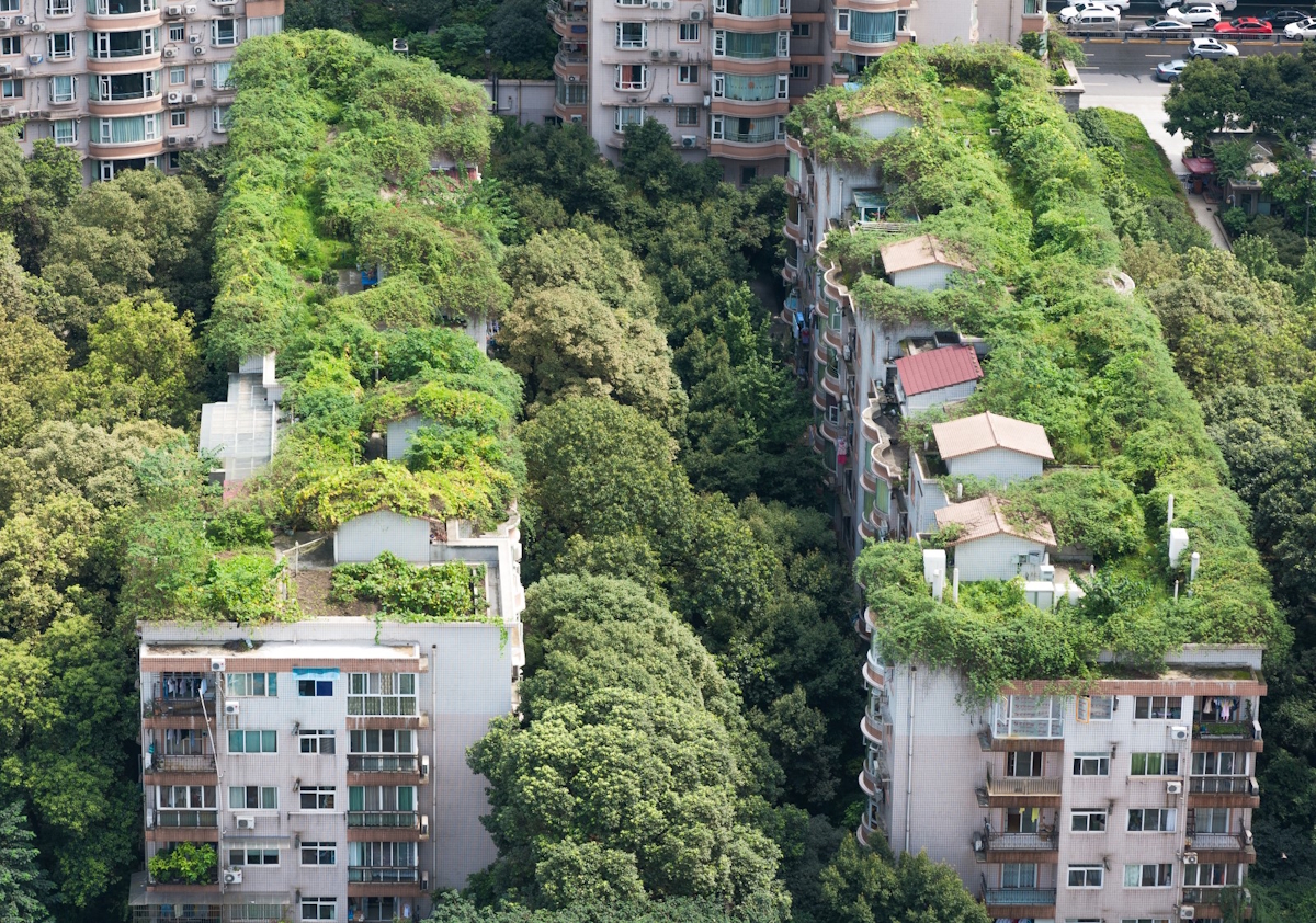 Cuando las Naciones Fallan, las Ciudades Lideran: El Nuevo Frente Urbano contra el Cambio Climático