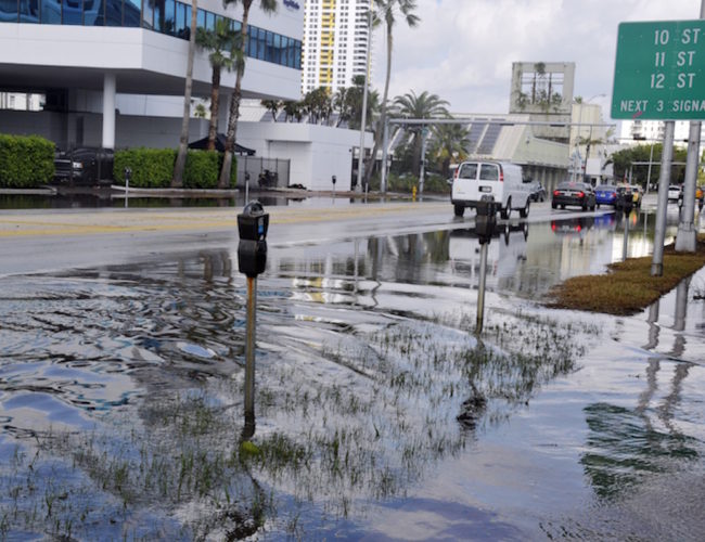 Refugios Climáticos en Riesgo: Cómo la Gentrificación Aumenta las Desigualdades en las Ciudades que Reciben Migrantes del Clima
