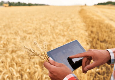 The Future of Rural Areas: Generational Renewal, Artificial Intelligence Integration, and the Digital Transformation of Agriculture