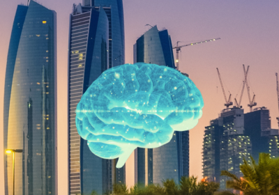 Citizen Data and Privacy in the AI City: Building Trust through Transparency