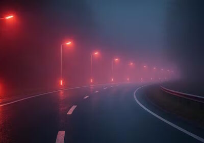 Red Light, Urban Ecology, and the Future of Biodiversity-Centered Street Infrastructure