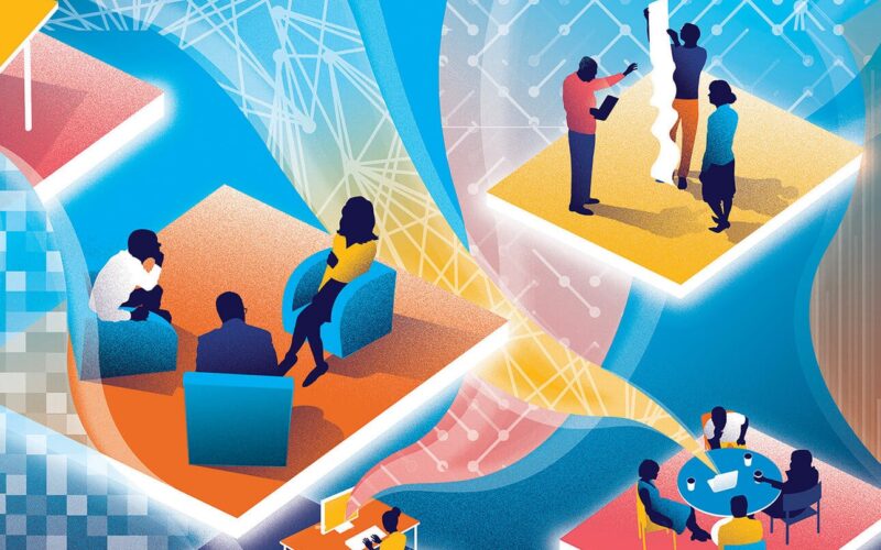 Learning Organisations or Cognitive Institutions?