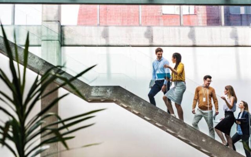 The Internal Anatomy of a Cognitive Institution