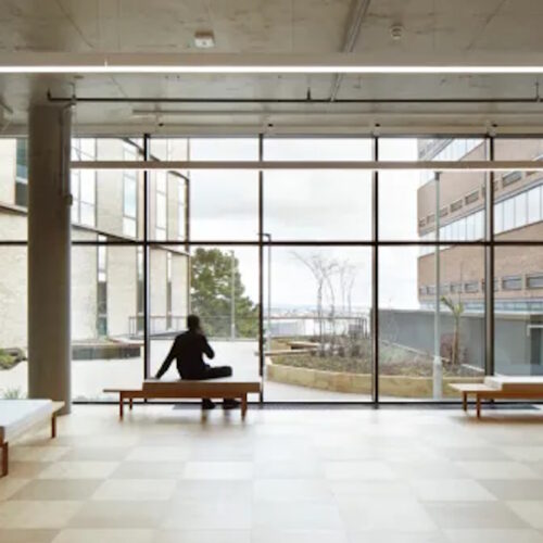 Institutions as Living Systems